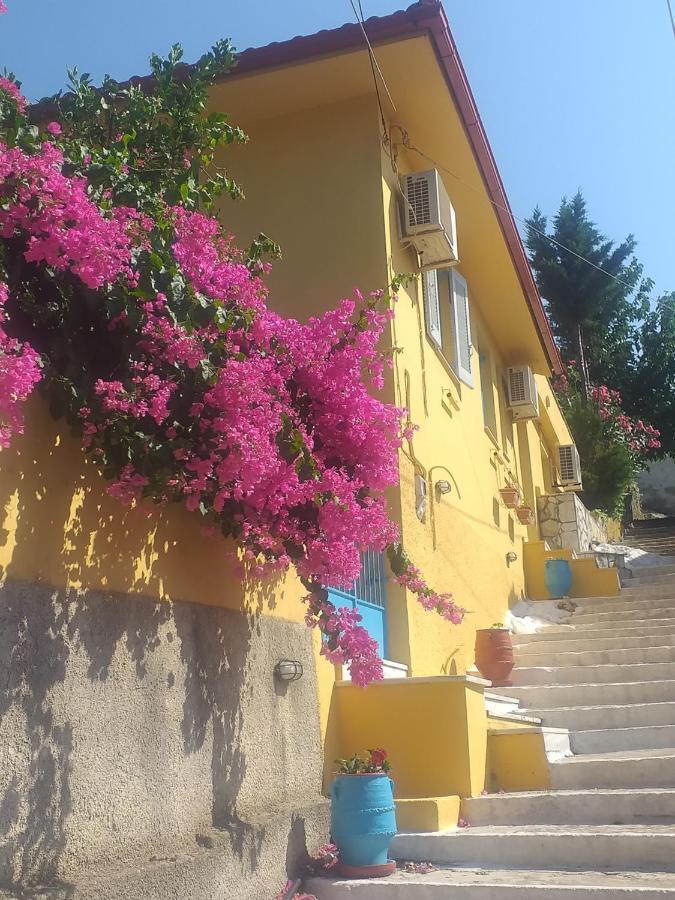 Villa Eleni Vathy  Dış mekan fotoğraf
